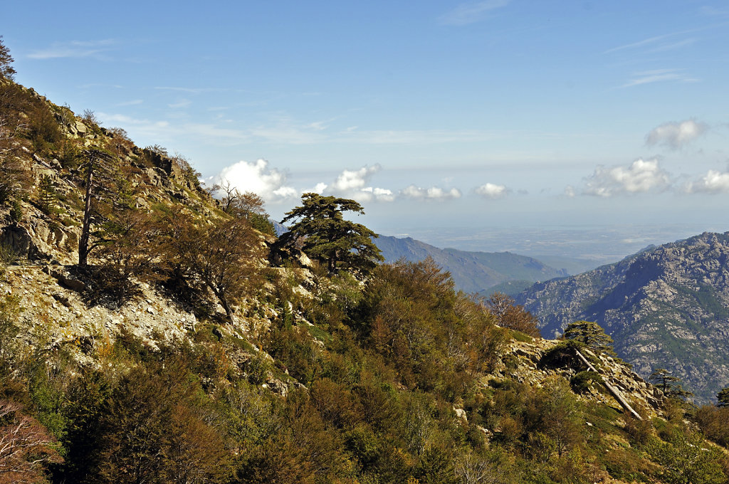 korsika  - aufstieg zum monte renoso und dem bastanisee -  am st