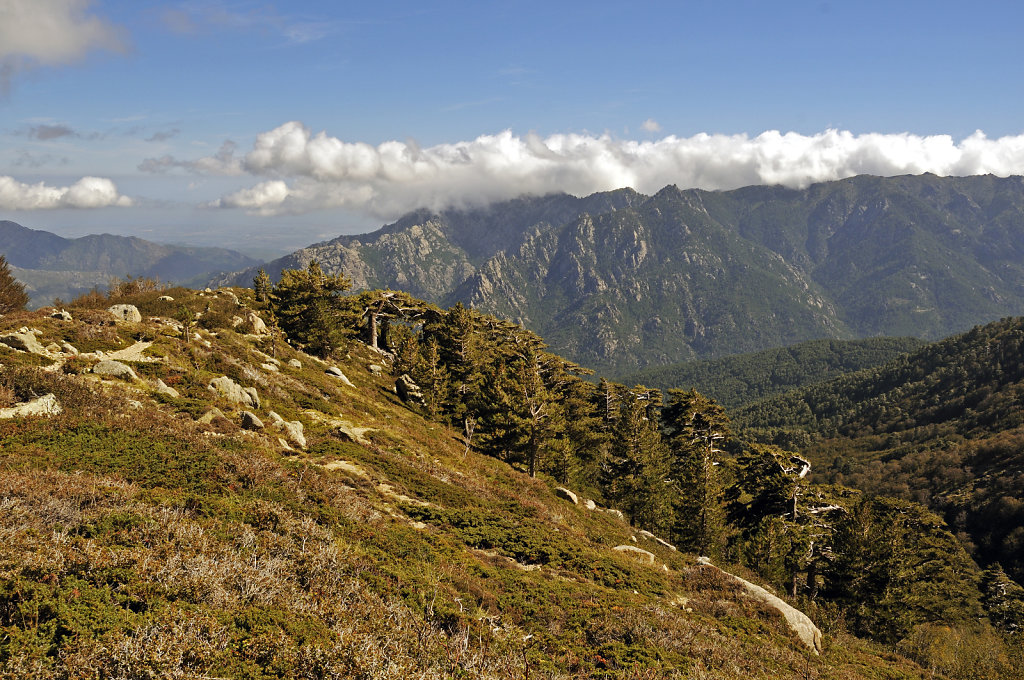 korsika  - aufstieg zum monte renoso und dem  bastanisee – tei