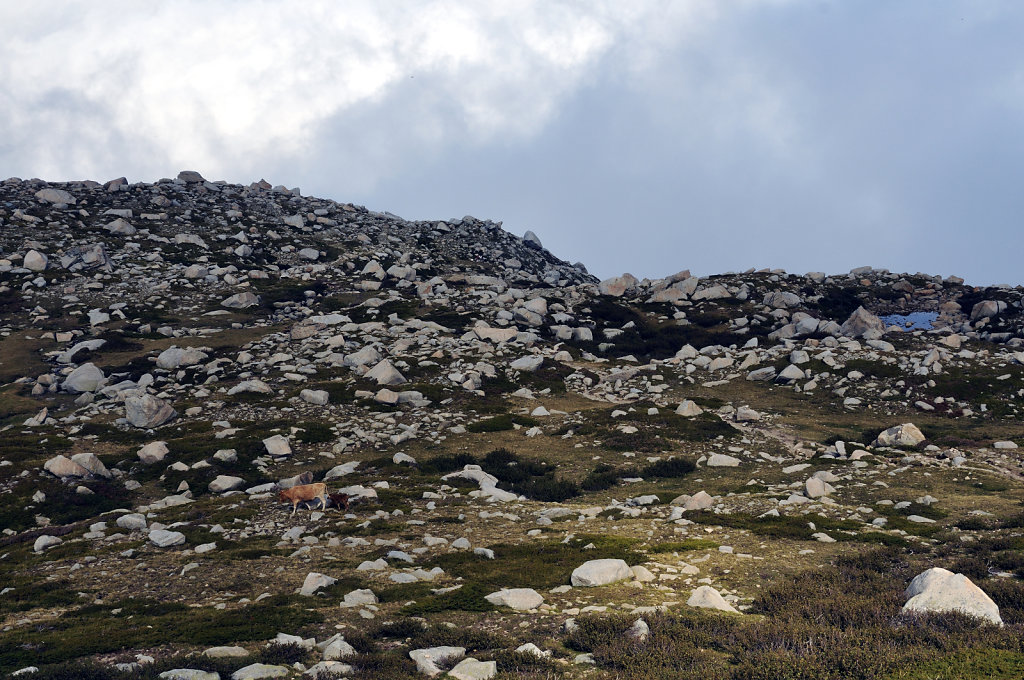 korsika  - aufstieg zum monte renoso und dem bastanisee  – suc