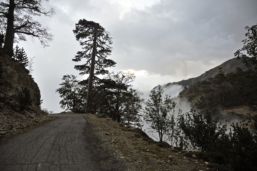 korsika  - aufstieg zum monte renoso und dem  bastanisee  – te