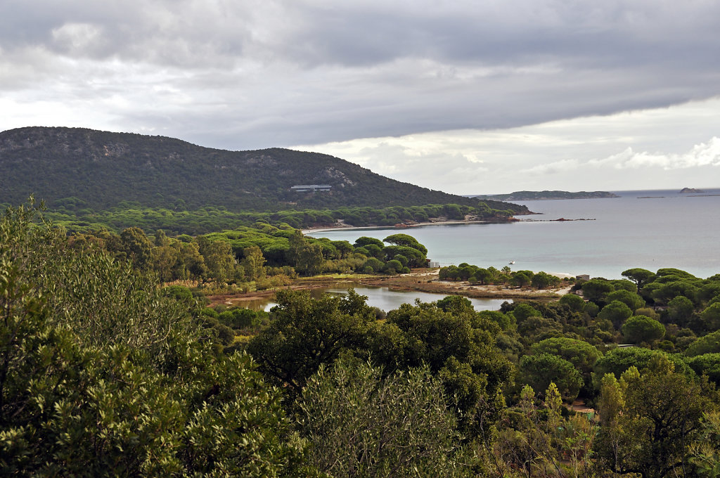 korsika  - plage de  palombaggia -  teil 5