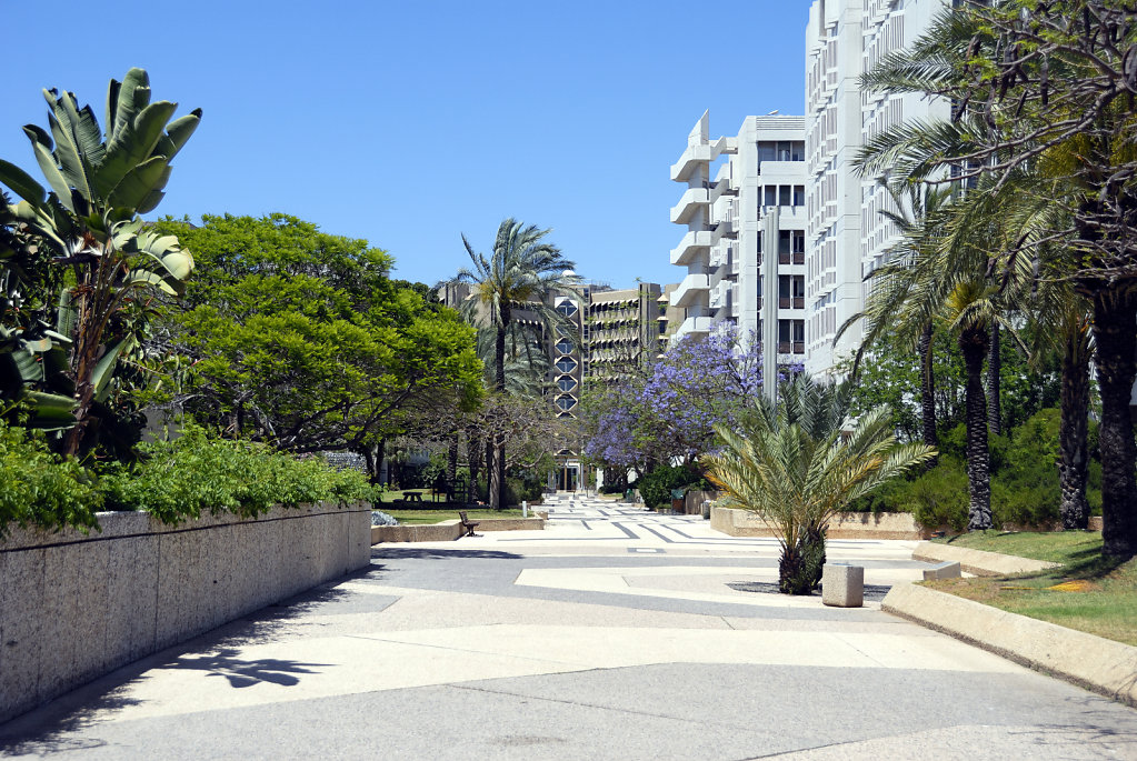 israel – tel aviv - universitätsgelände