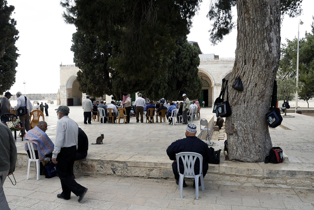 israel – jerusalem - der tempelberg - die versammlung