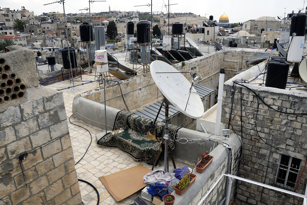 israel – jerusalem - der blick von der mauer – kleine oase