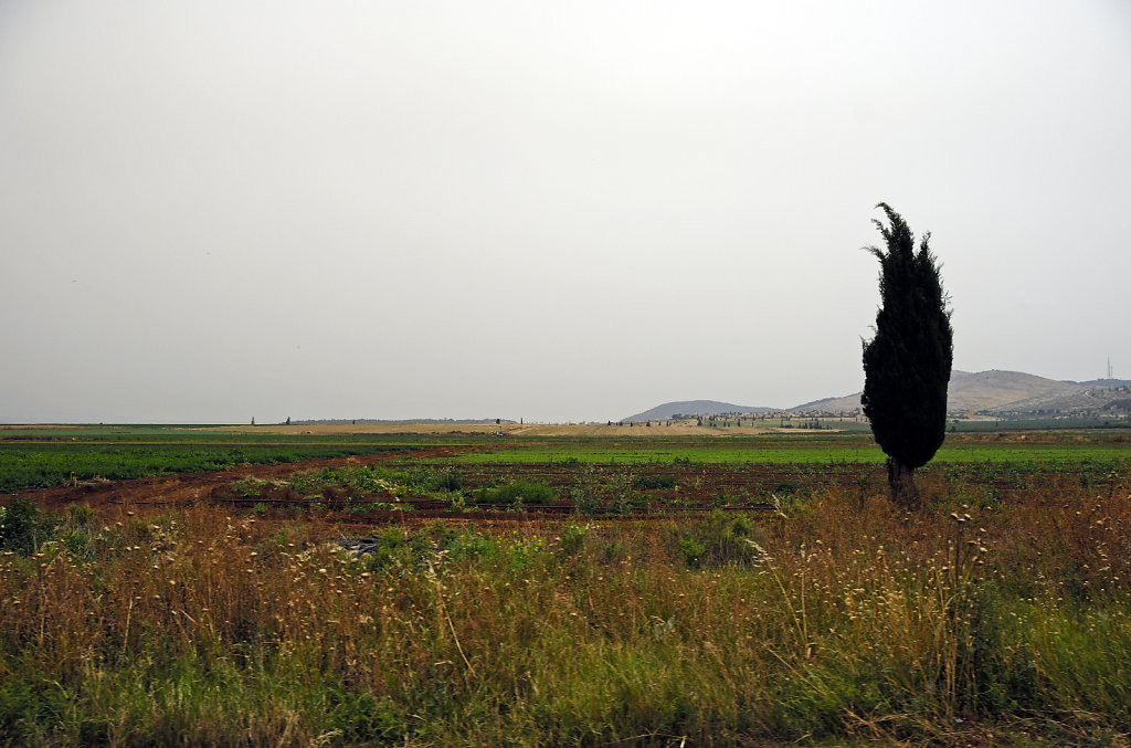 israel – haifa - unterwegs