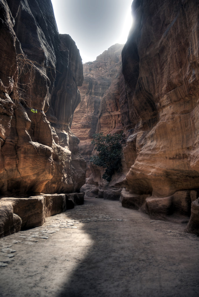 jordanien - petra -  der sik (10)