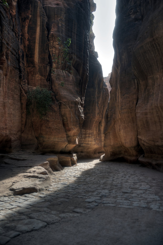 jordanien - petra -  der sik (11)