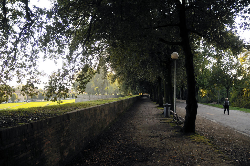 italien- lucca - auf dem wall