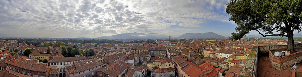 italien- lucca - torre guinigi - blick nach süden - teilpanoram