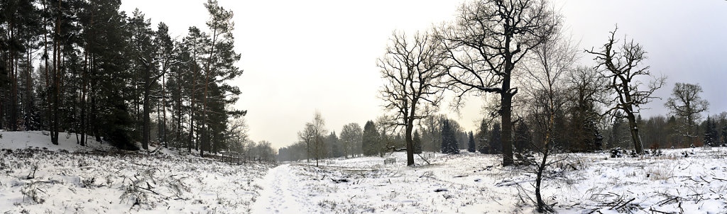 wendland - breeser grund -  teilpanorama nr. 01 