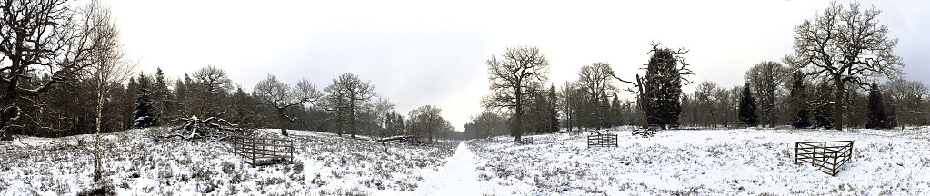 wendland - breeser grund -  teilpanorama nr. 02