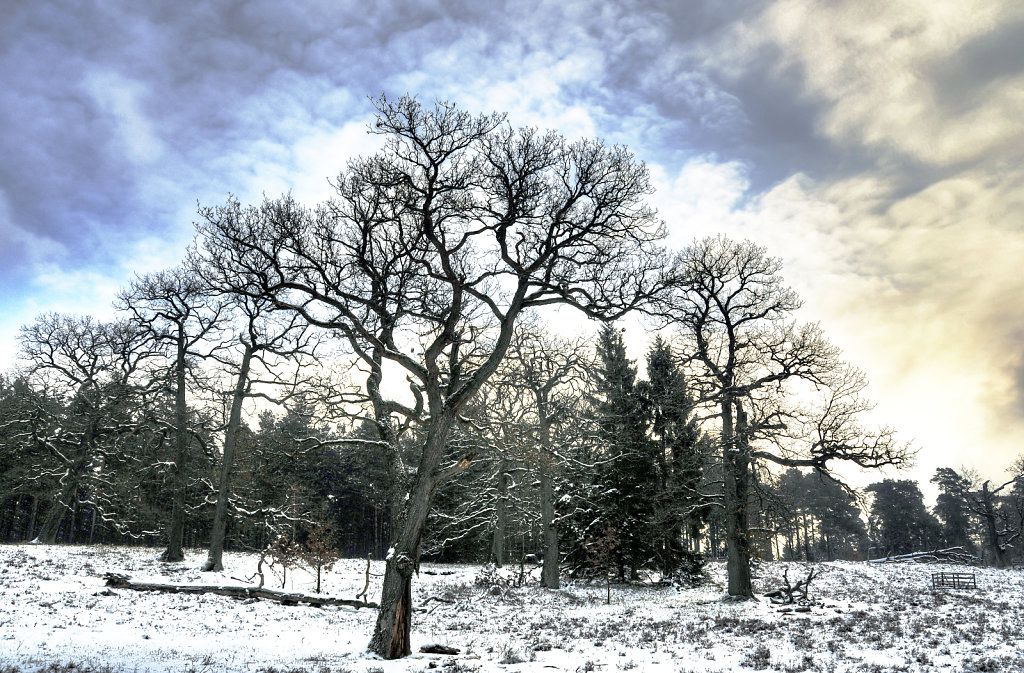  wendland - breeser grund -  bild nr. 02