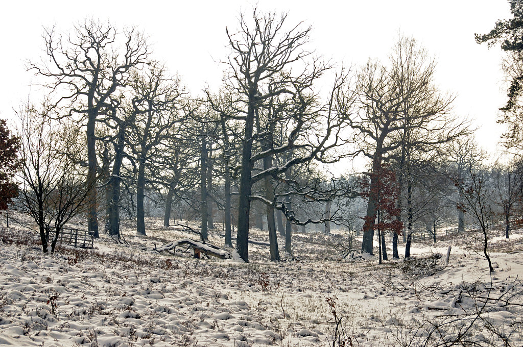 wendland - breeser grund -  bild nr. 05