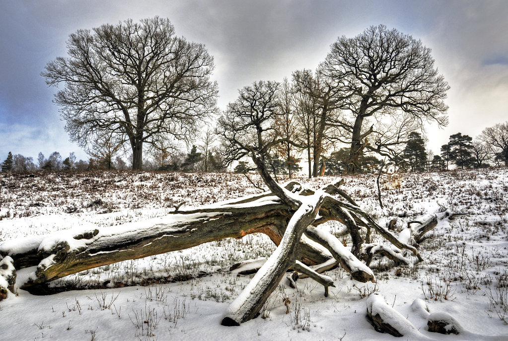 wendland - breeser grund -  bild nr. 06