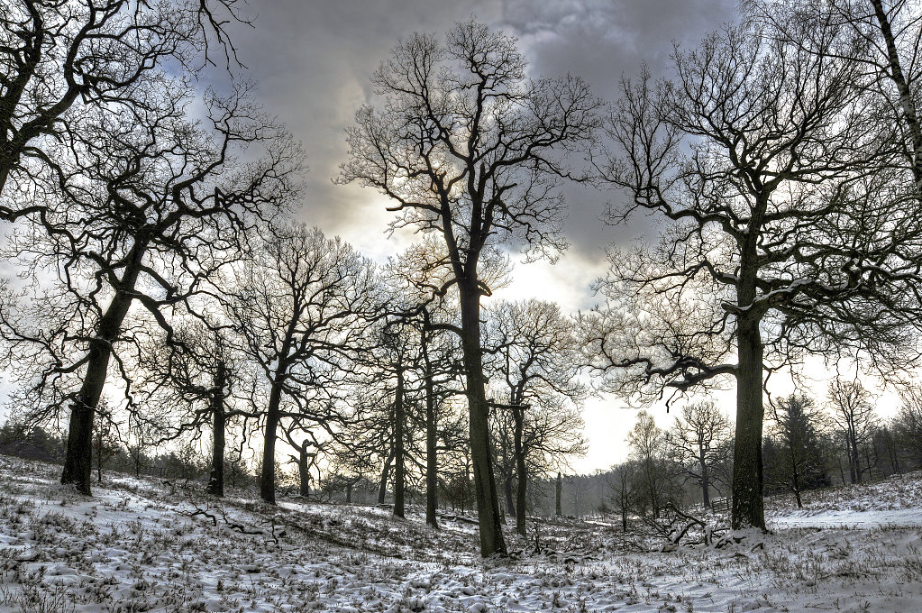 wendland - breeser grund -  bild nr. 07