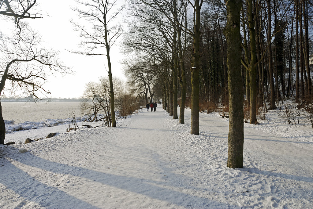 elbspaziergang  (15) - im park