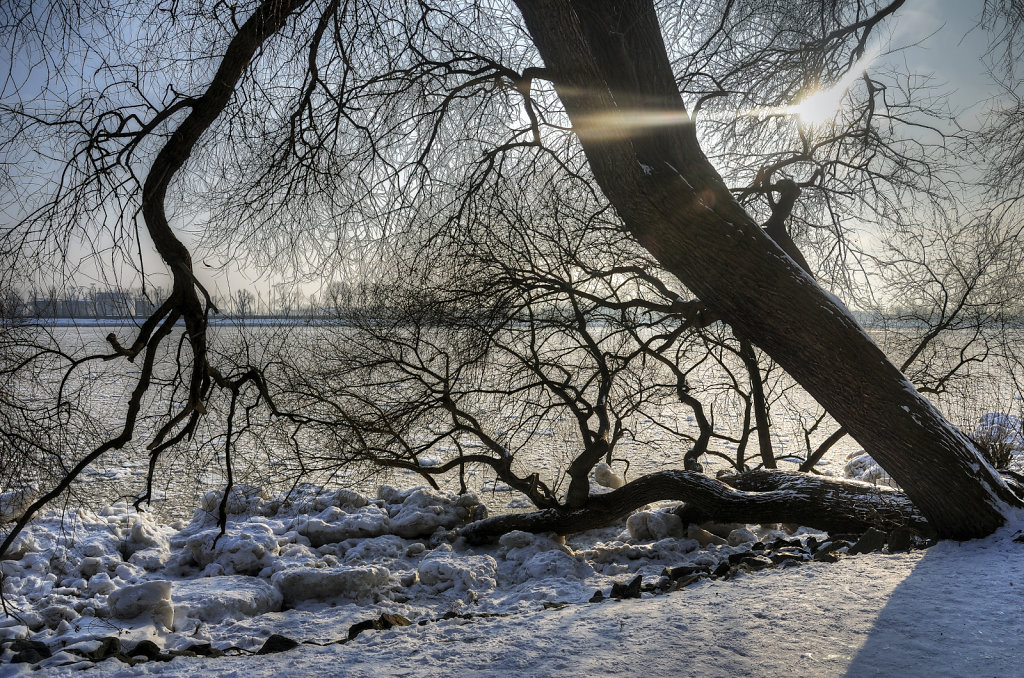 elbspaziergang (18) - winterstimmung