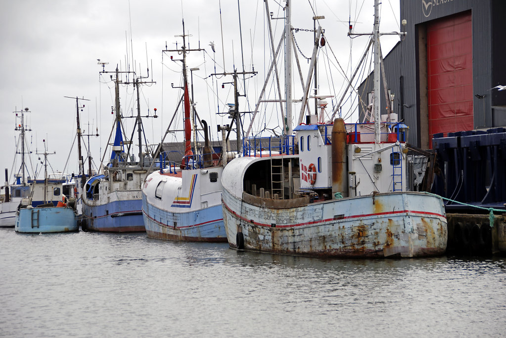 dänemark - ringkobing fjord - hvide sande