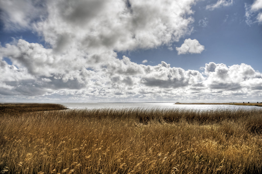 dänemark - ringkobing fjord - holmland klit