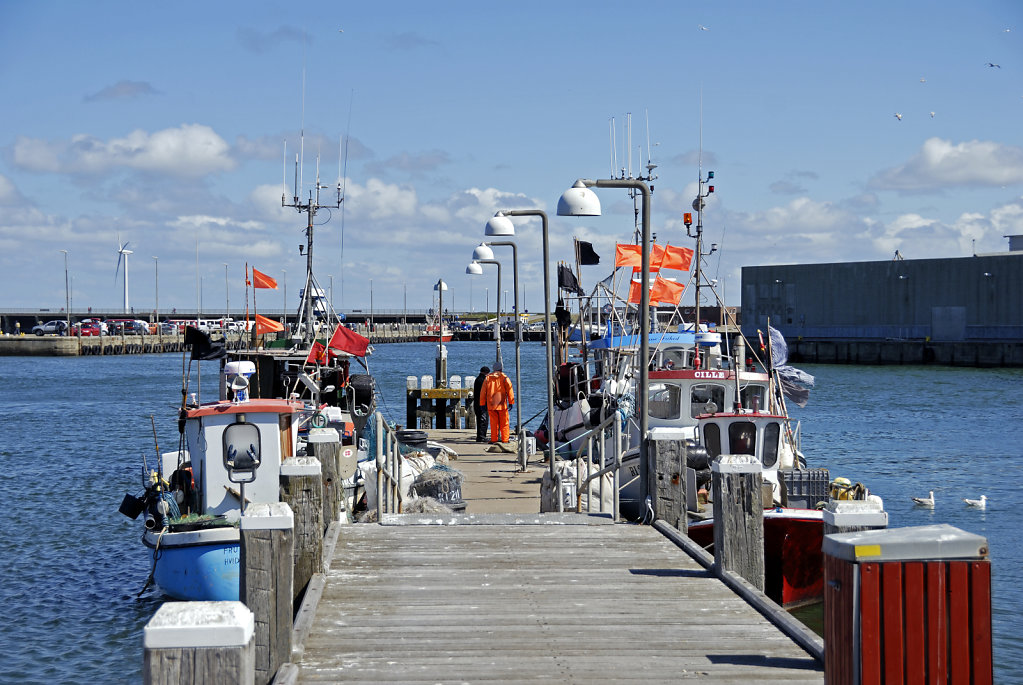 dänemark - ringkobing fjord - hvide sande (12)