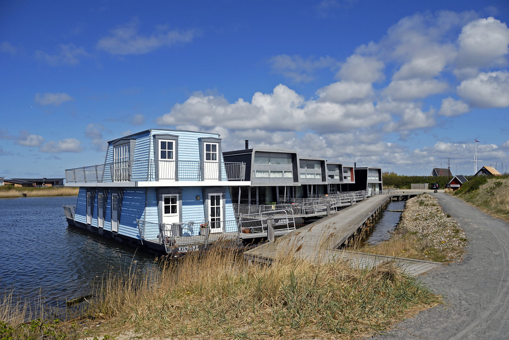 dänemark - ringkobing fjord - hvide sande (16) 