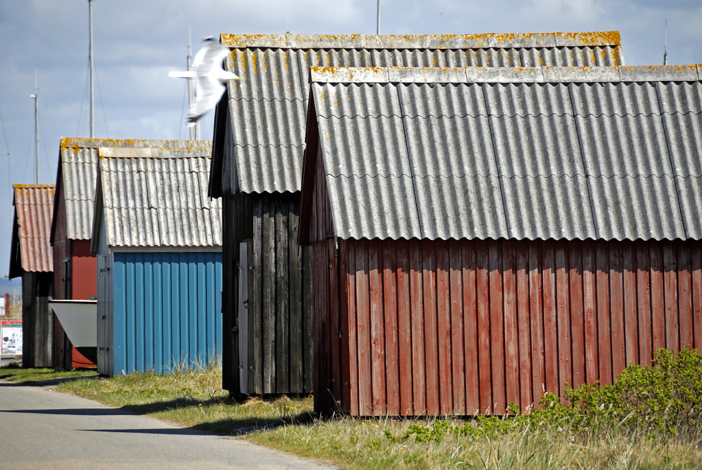 dänemark - ringkobing fjord  - hvide sande (17)