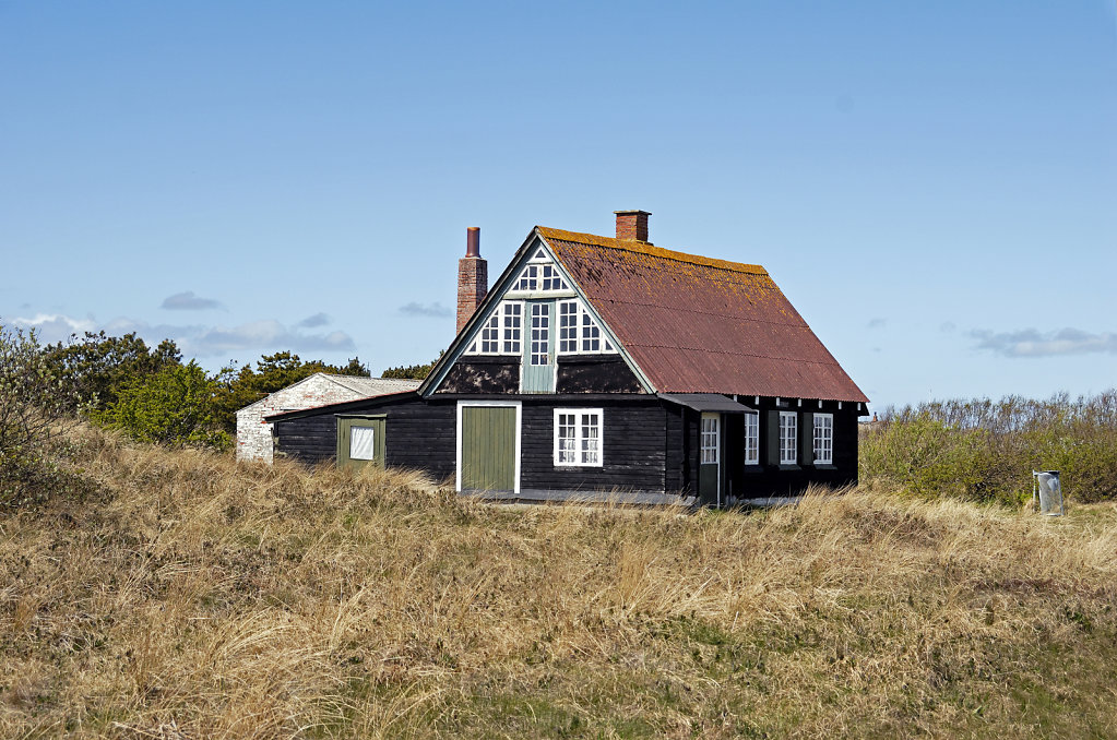 dänemark - ringkobing fjord  - holmland klit (12)