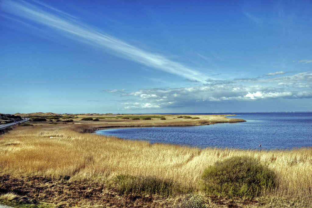 dänemark - ringkobing fjord  - holmland klit (15)