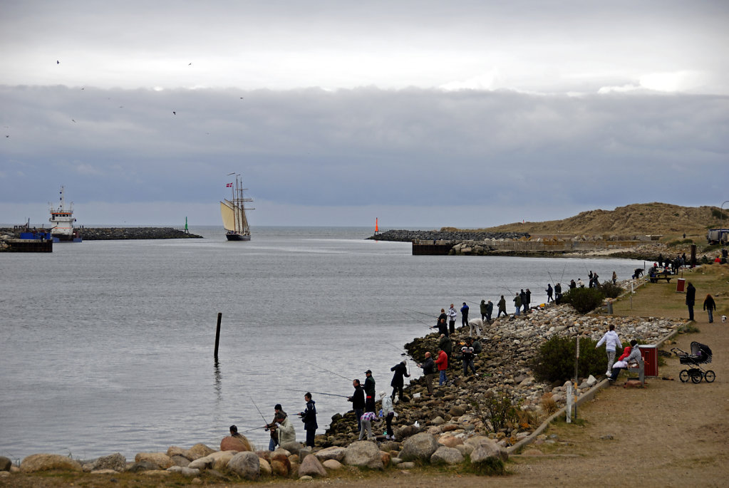 dänemark - ringkobing fjord - hvide sande (20) 