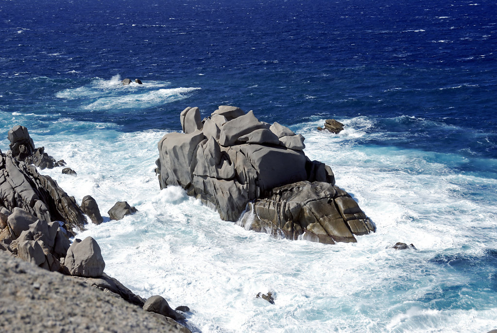 italien - sardinien - capo testa - das urtier