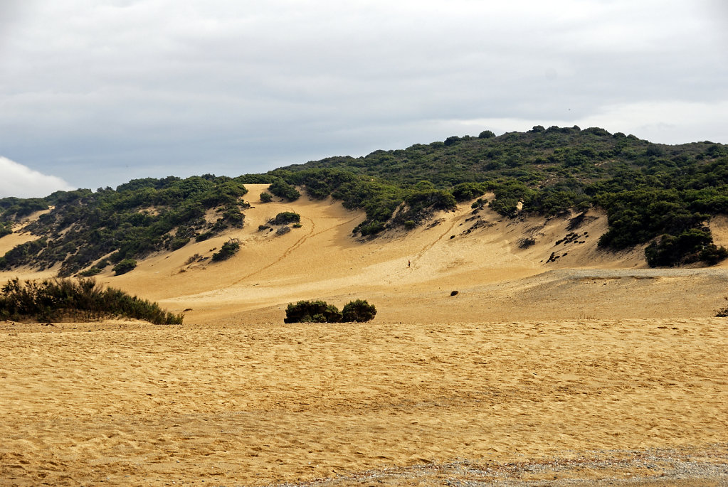 italien - sardinien - spiaggia piscinas - die dünen