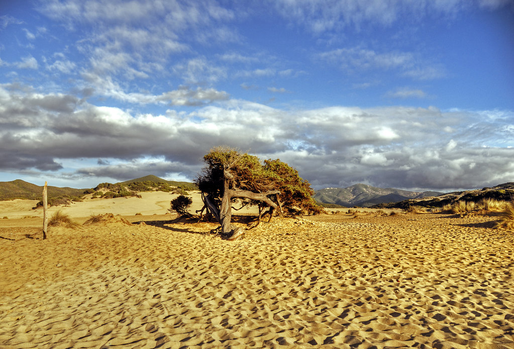 italien - sardinien - spiaggia piscinas - stromlinienförmig