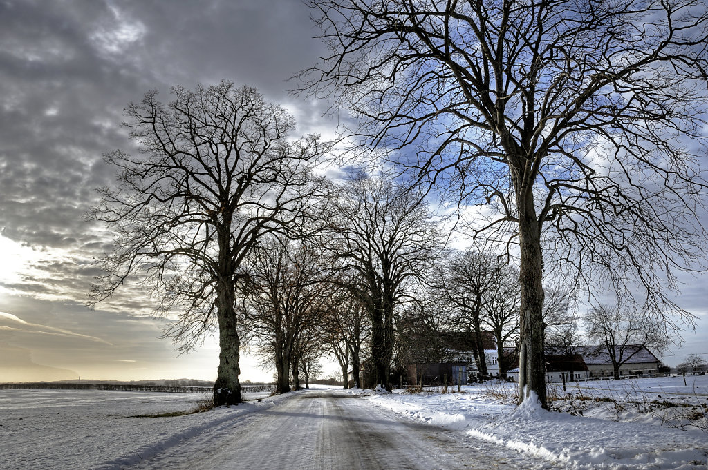 winterlandschaft (03)