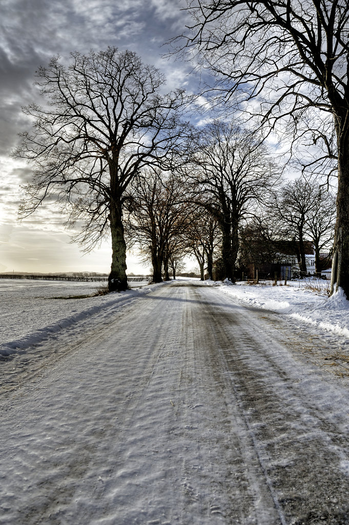 winterlandschaft (04)