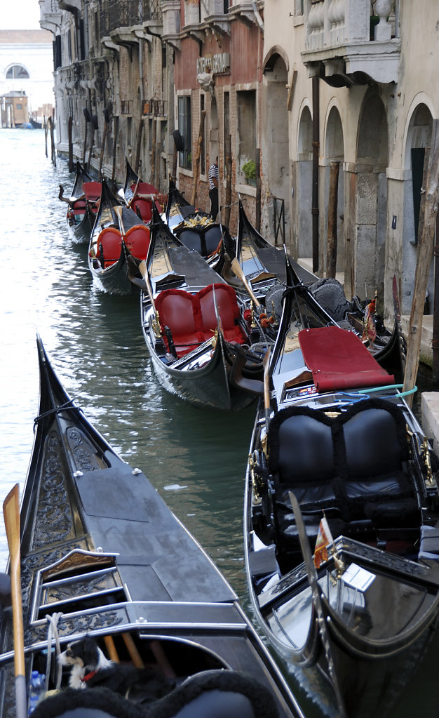 venedig (100) - die gondeln