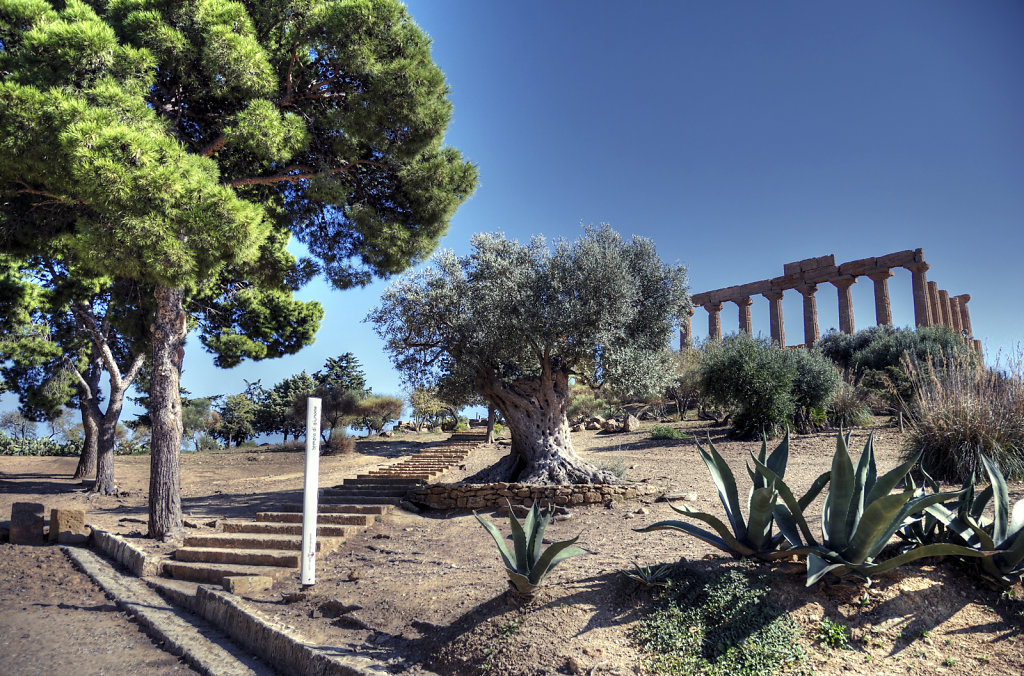 sizilien (08) - tal der tempel - der archäologische park teil 2