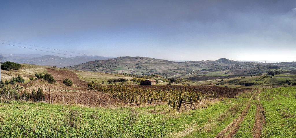 sizilien -  (62) -an der landstraße - teilpanorama