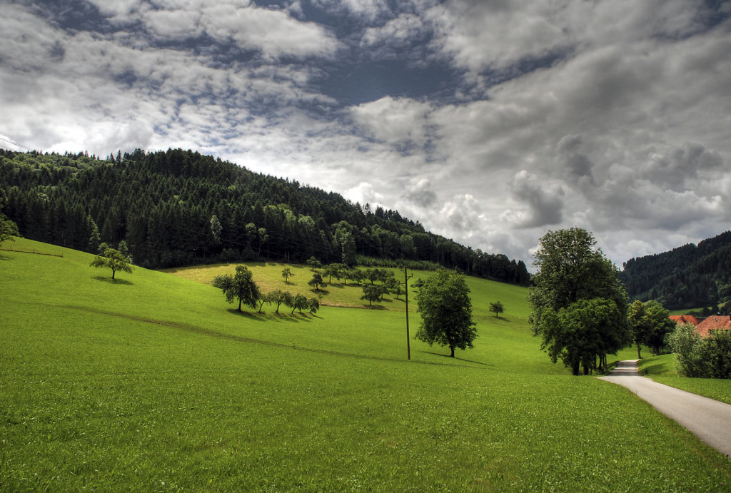 schwarzwald