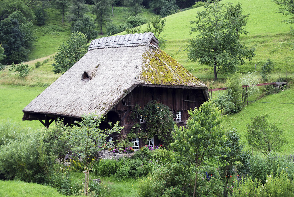 schwarzwald