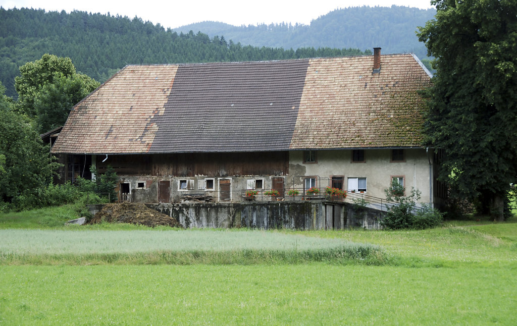 schwarzwald