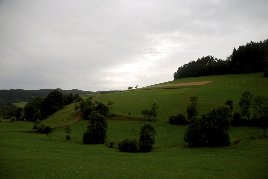 schwarzwald