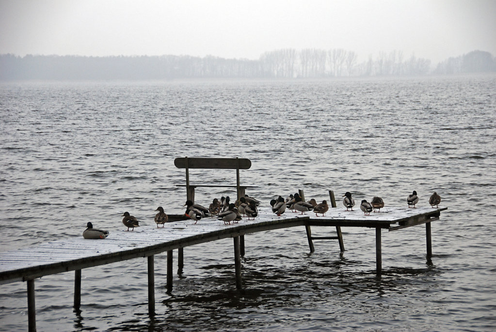 arendsee (08) - die pause