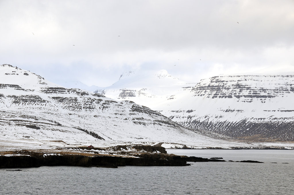 island – seydisfjördur (09) 