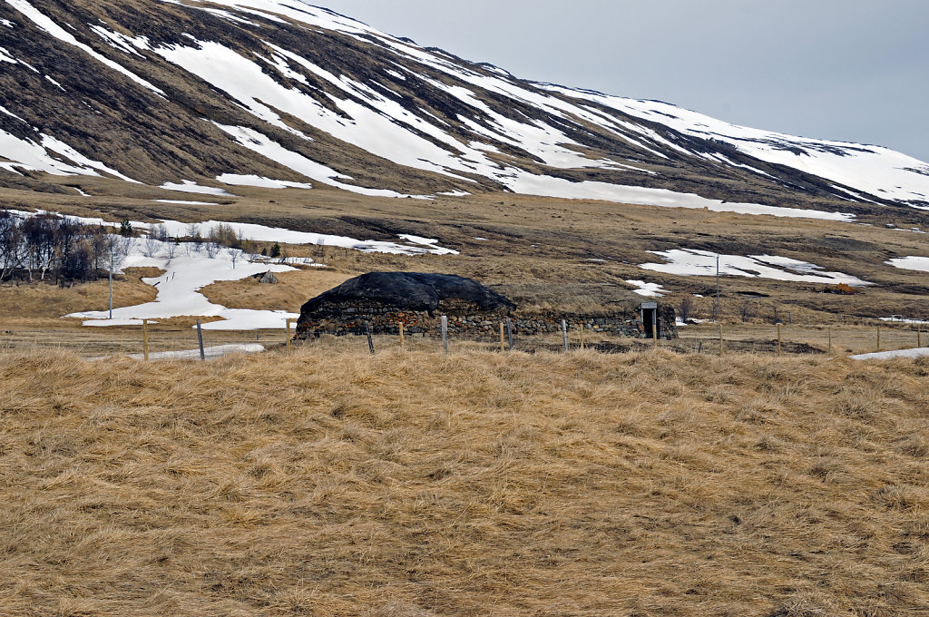 island – auf dem weg nach mývatn teil 7