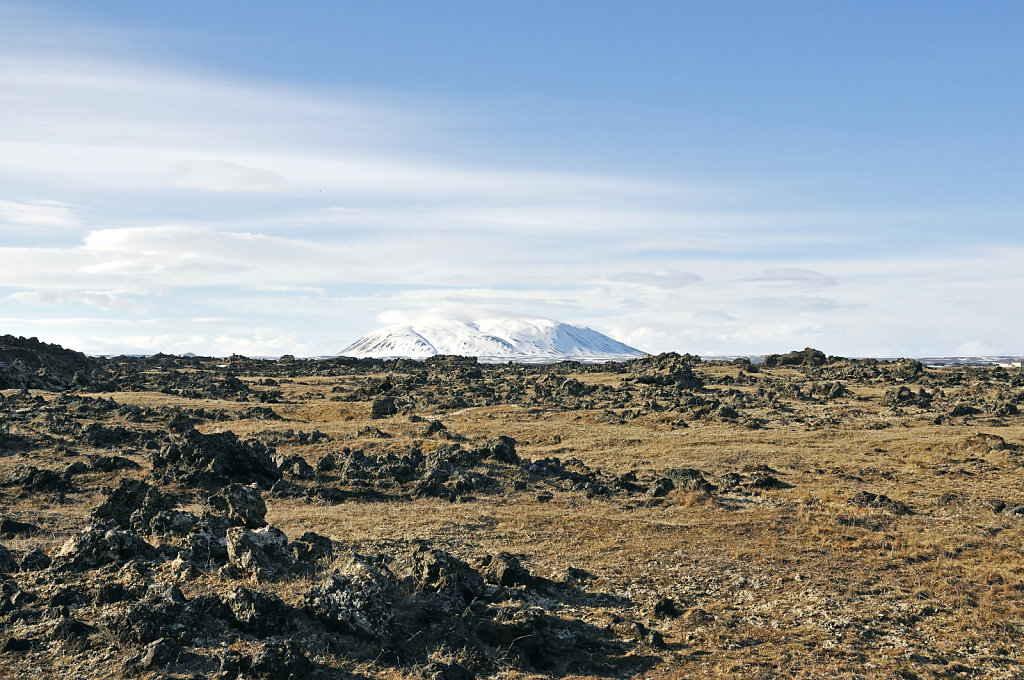 island – mývatn   (07)