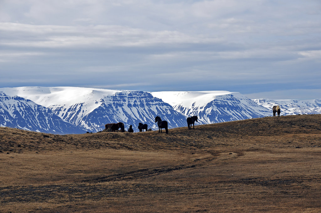 island – zwischen siglufjörður und varmahlíð (14)