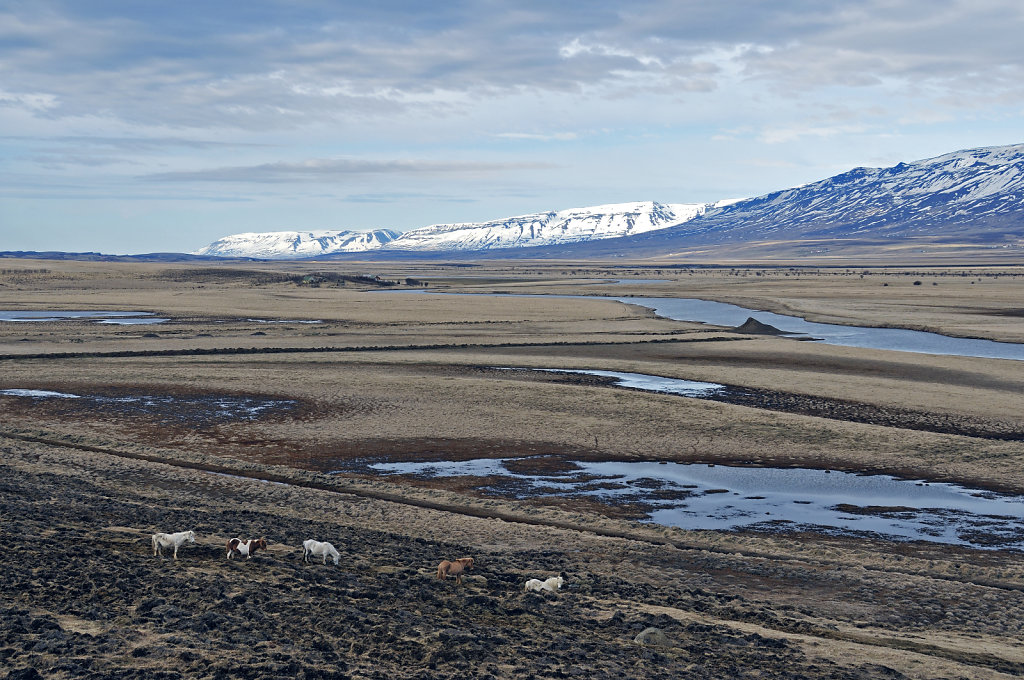 island – zwischen siglufjörður und varmahlíð (25) - glaumb