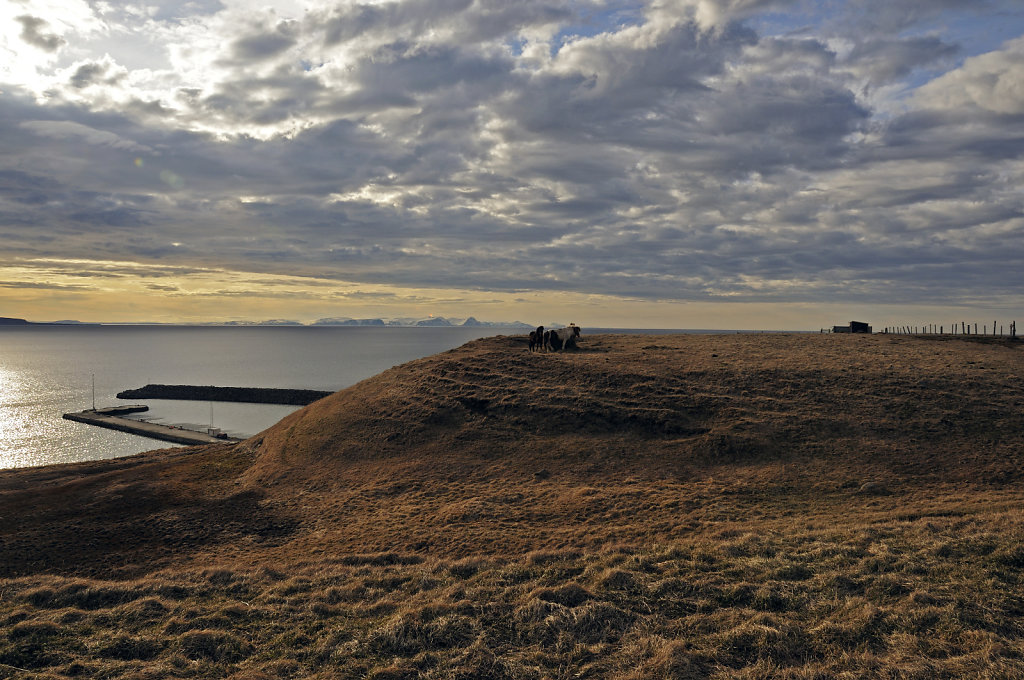 island – zwischen varmahlíð und blönduós (06)