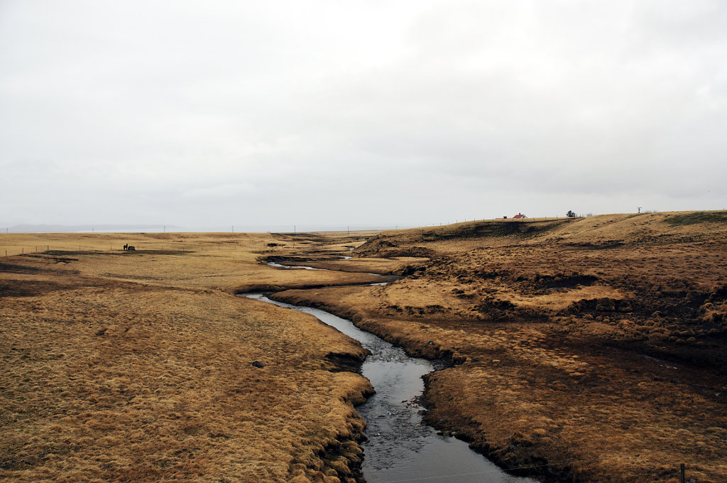 island – zwischen blönduós und borgarnes (03)