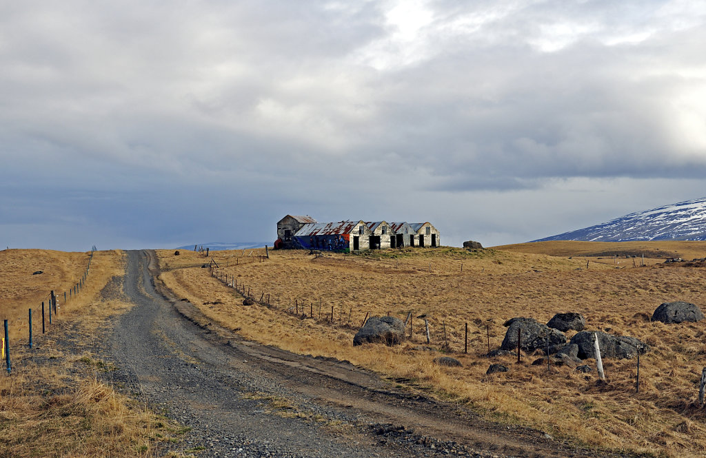 island – zwischen borgarnes  und reykjavik (02)